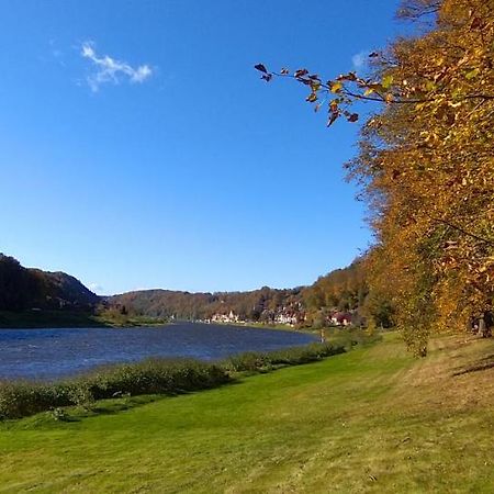 Ferienwohnung An Der Elbe 斯塔德特·卫恩 外观 照片