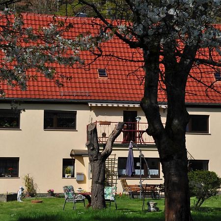 Ferienwohnung An Der Elbe 斯塔德特·卫恩 外观 照片
