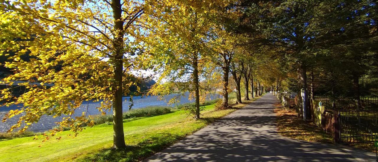 Ferienwohnung An Der Elbe 斯塔德特·卫恩 外观 照片
