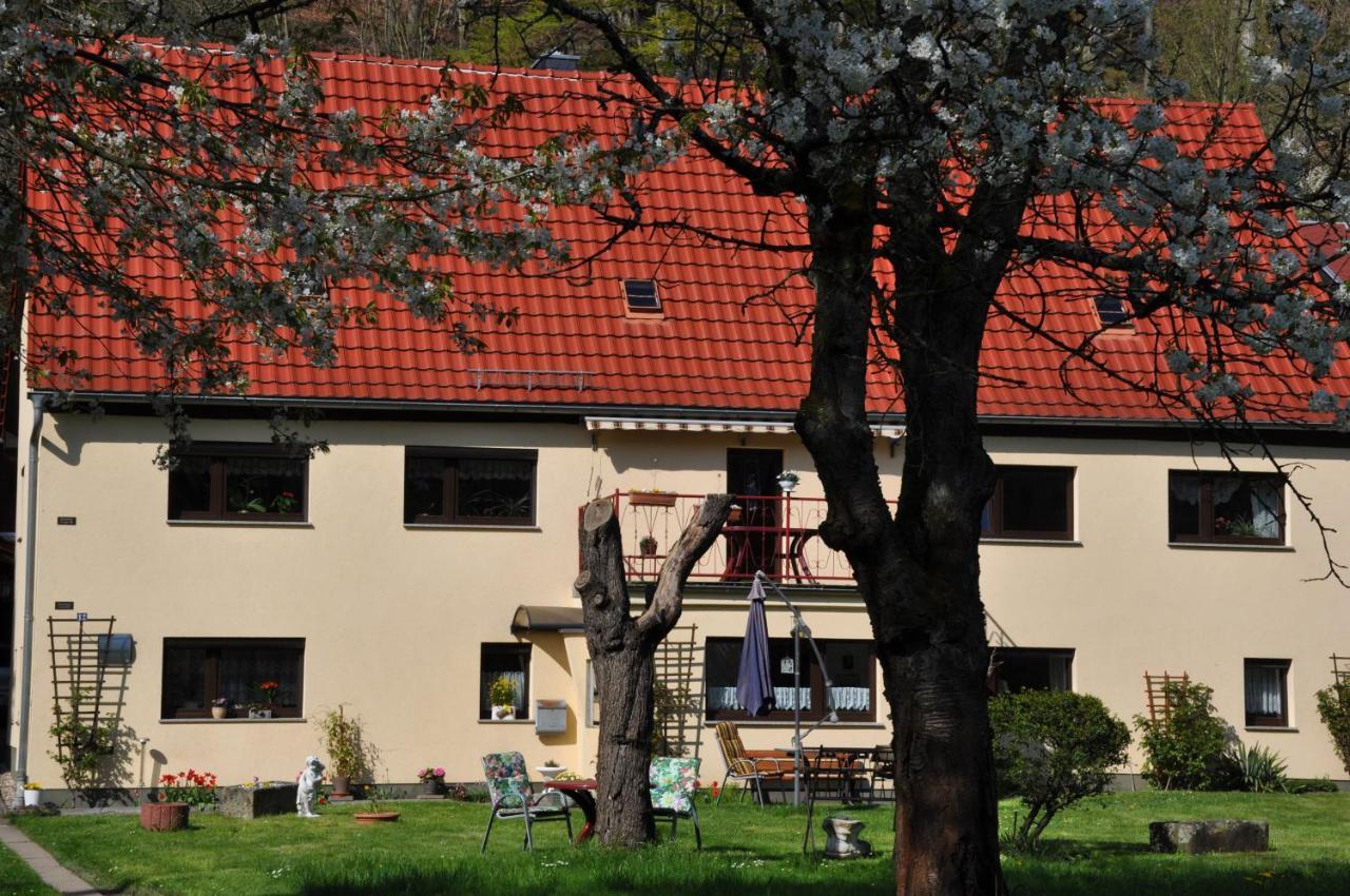 Ferienwohnung An Der Elbe 斯塔德特·卫恩 外观 照片